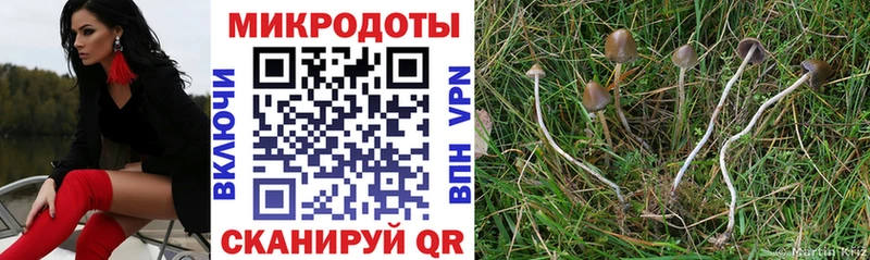 сколько стоит  Феодосия  Галлюциногенные грибы GOLDEN TEACHER 