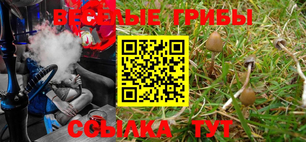 Галлюциногенные грибы GOLDEN TEACHER Феодосия